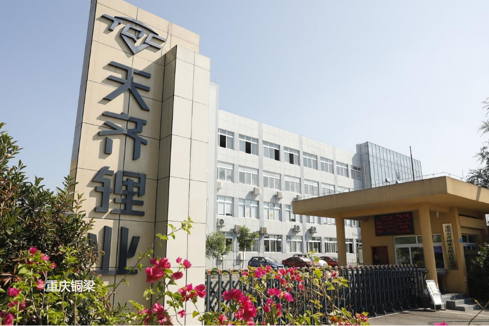 重慶天齊鋰業新廠弱電智能化系統安裝工程